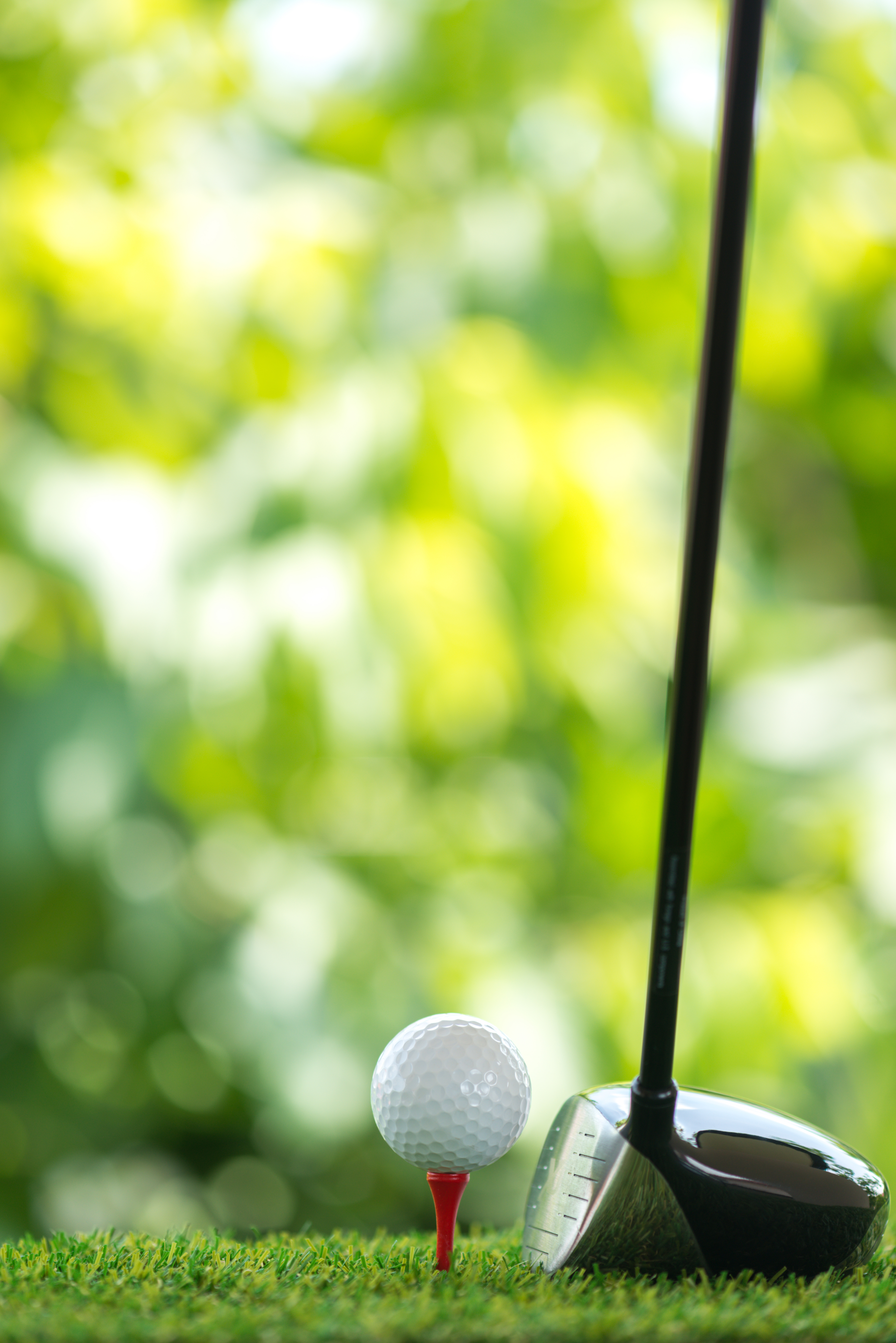 A golf ball that is about to be hit with a driver club.